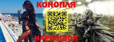 сатива Малоярославец