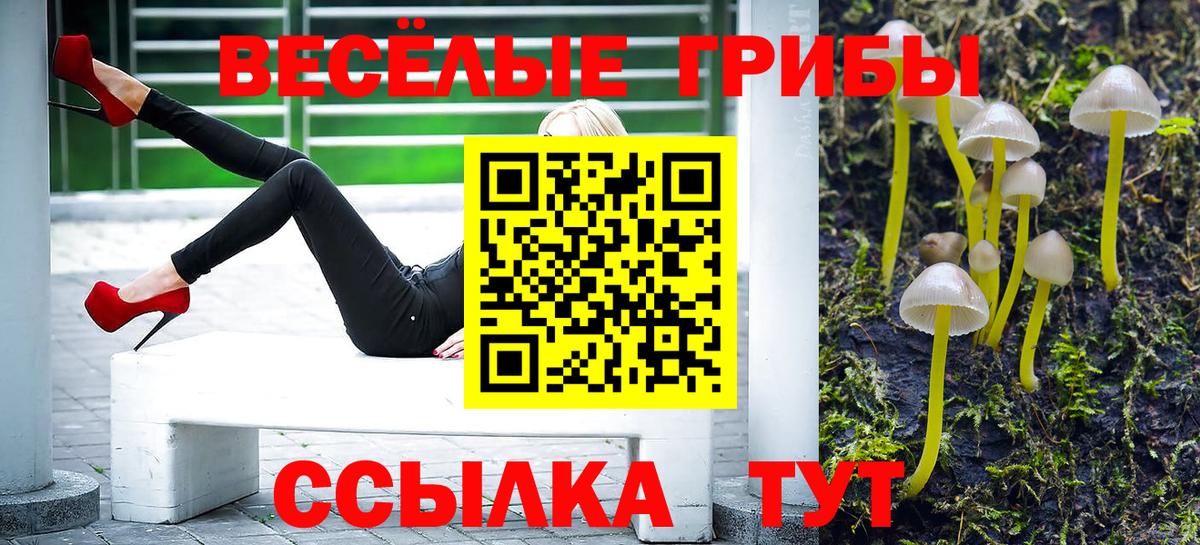 купить наркоту  Псилоцибиновые грибы MAGIC MUSHROOMS  Первоуральск  Вход с VPN  Псилоцибиновые грибы прущие грибы 