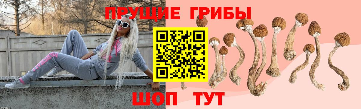 Псилоцибиновые грибы мухоморы Первоуральск